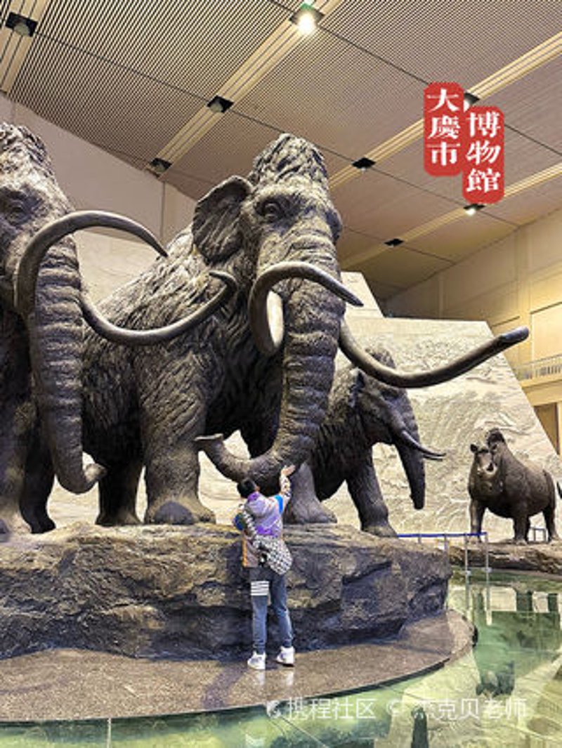 龙凤湿地公园:城市绿肺与自然乐园